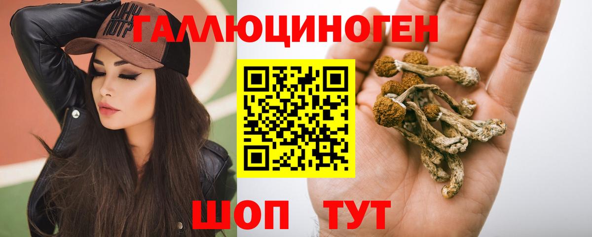 Псилоцибиновые грибы Cubensis Саянск